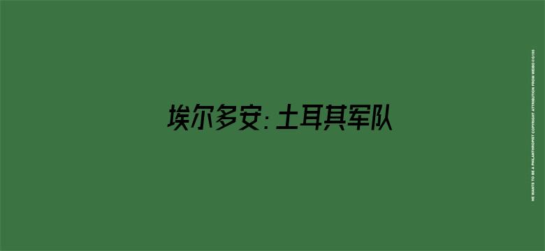 埃尔多安：土耳其军队击毙IS头目