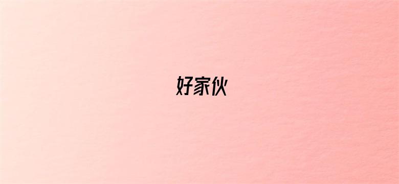 好家伙